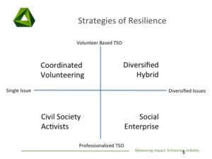 strategies-of-resilience